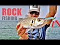 ROCKFISHING *Por primera vez* [NUEVOS SEÑUELOS]