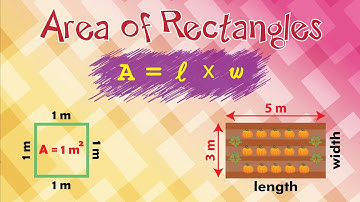Area of a Rectangle | Learn with Solved Real-Life Examples