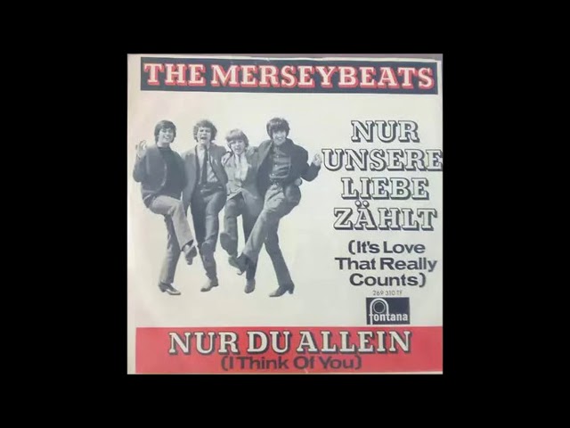 The Merseybeats - Nur Du Allein ( Fontana 269 310 Tf )  1964