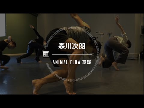 森川次朗  - ANIMAL FLOW基礎 【DANCEWORKS】