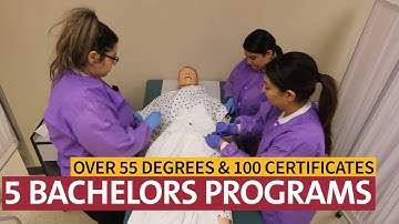 YVC By the Numbers 2023