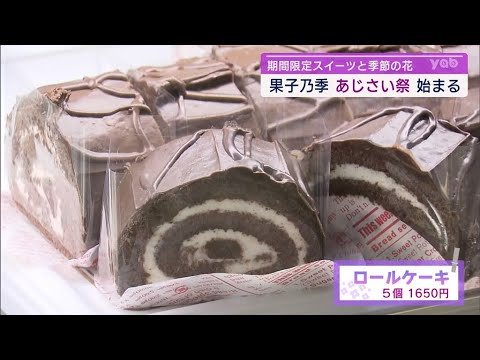 Yamaguchi] Asahi Seika's Annual Hydrangea Festival Begins - YouTube
