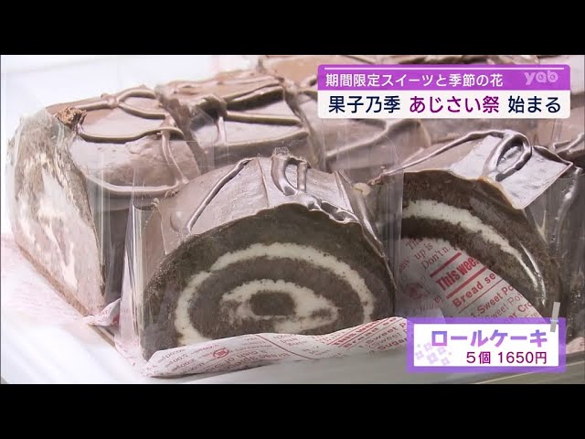 ソフトケーキ様　　専用 Yamaguchi] Asahi Seika's Annual Hydrangea Festival Begins - YouTube