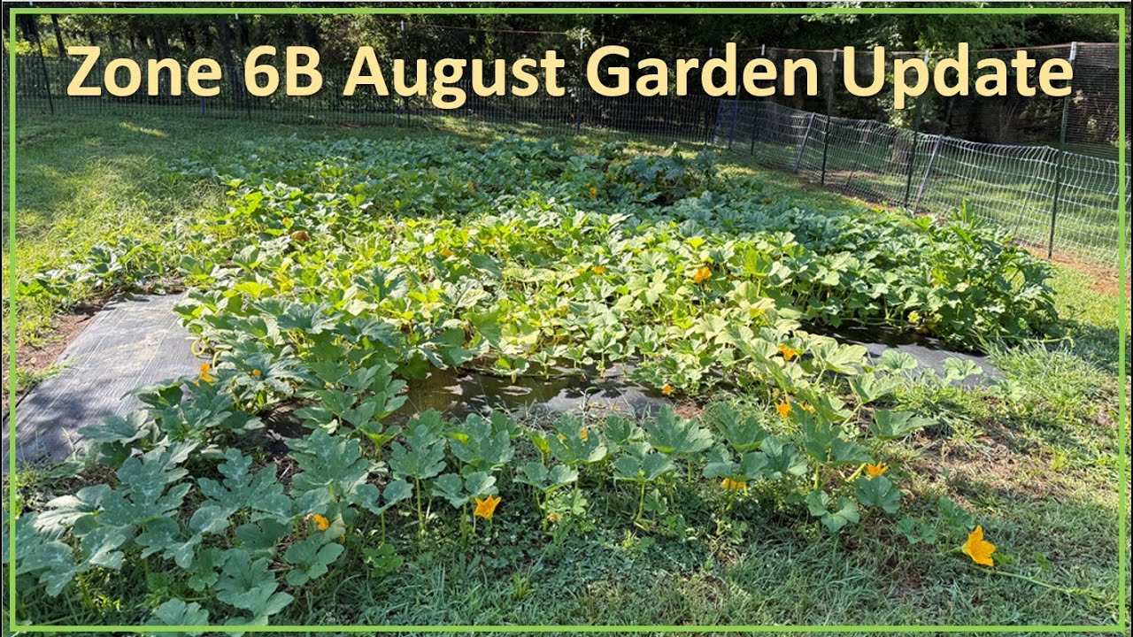 #310: Kentucky Zone 6b Mid Season Garden Tour - YouTube