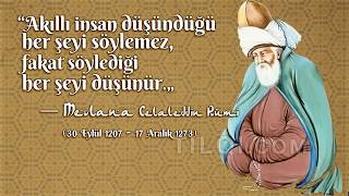 Resimli Mevlana Sözleri Kusursuz Dost Arayan Dostsuz Kalır
