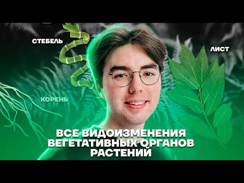 Все видоизменения вегетативных органов растений | Биология ОГЭ 2023 | Умскул