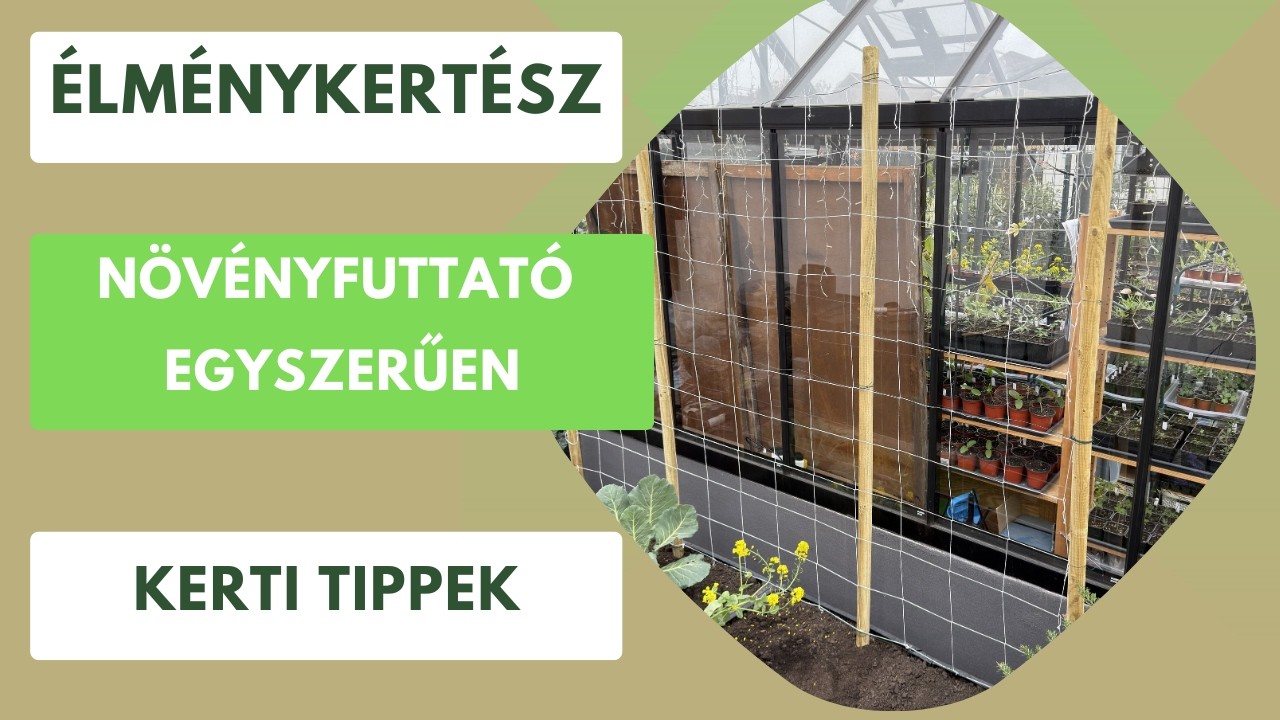 Komposztálható növényfuttató építése egyszerűen🥒🫘