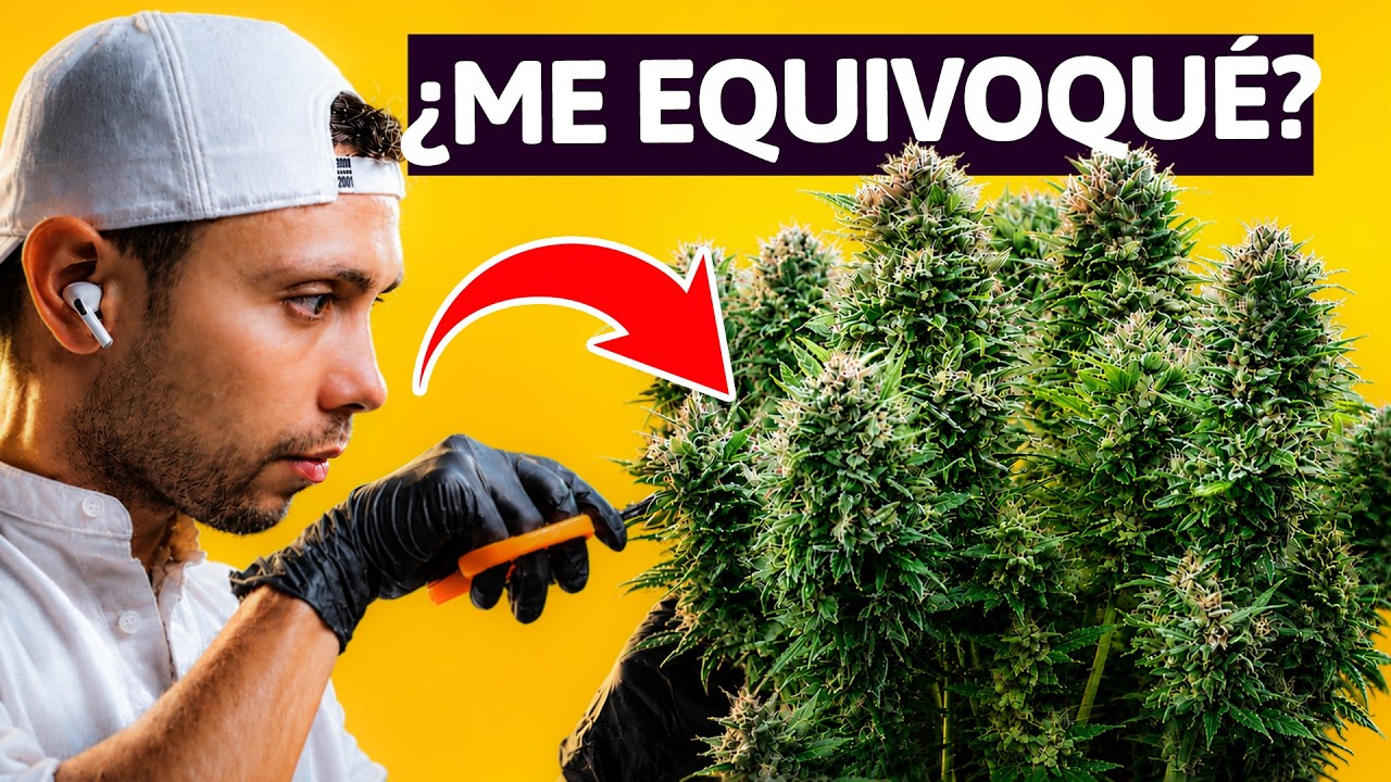 Latest Title & Thumbnail