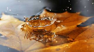 so fell autumn rain - Lake Of Tear  vietsub