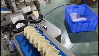 Ada top quality full automatic dumpling making machine.