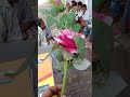 jai shree Radhe Radhe #myvlog #