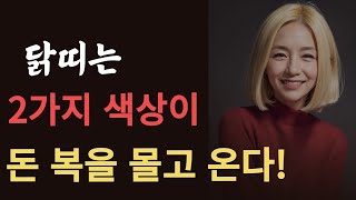 닭띠는 2가지 색상을 꼭 기억해야 큰부자 됩니다! 2024년 닭띠를 갈림길에서 도와주는 띠는!! 93년생 8…