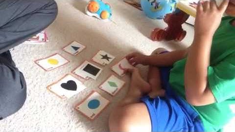 Literacy Program: Non identical matching shapes