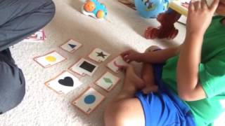 Literacy Program: Non identical matching shapes