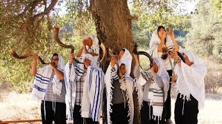 Celebrating Yom Teruah  with 7 shofars at the dawning of a new day. chords