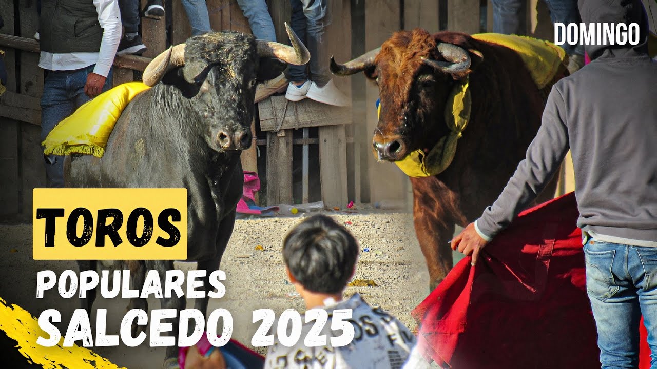 📽 | TOROS POPULARES SALCEDO 2025 - DOMINGO - Ganaderías Pitana, San Pablo y Hda. Cristalina.