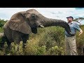 True Story of the Elephant Whisperer - Lawrence Anthony (Thula Thula)