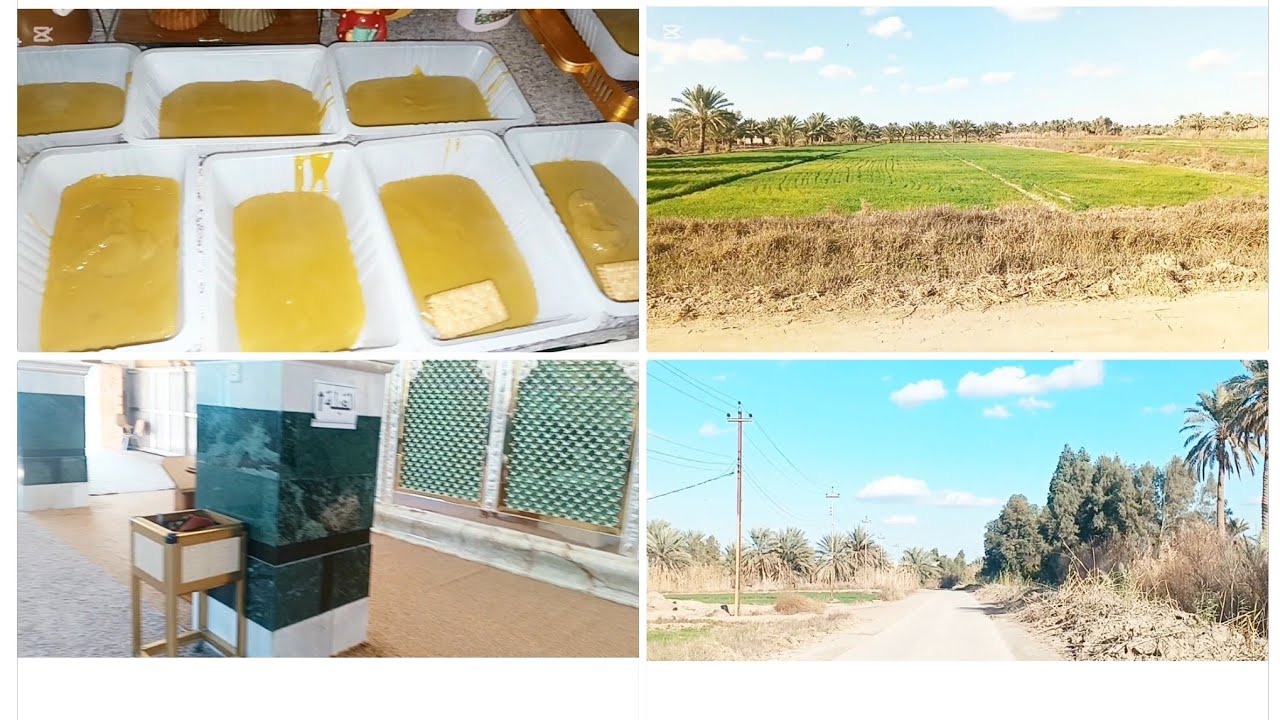 سويت ثواب الامام الكاظم عليه السلام الفيديو براعيه صادق 🤣🫣😉