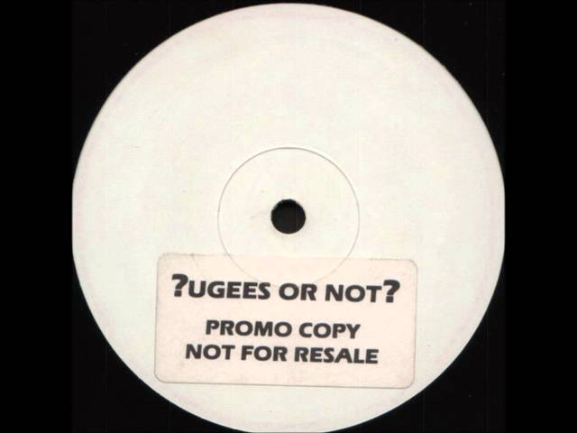 Fugees - Ready or Not (DJ Zinc Remix) w 500 Electronic Hits