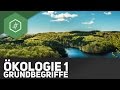 Grundbegriffe Der Ökologie Ökologie 1