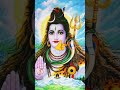 Varahi amman #varahi #religion #devotional #varahi_vastu #god #varahidevi #astrology #shorts