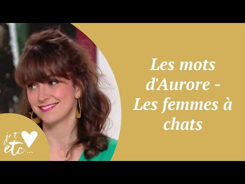 Vidéo: Le Lien Spécial Entre Les Femmes Et Les Chats