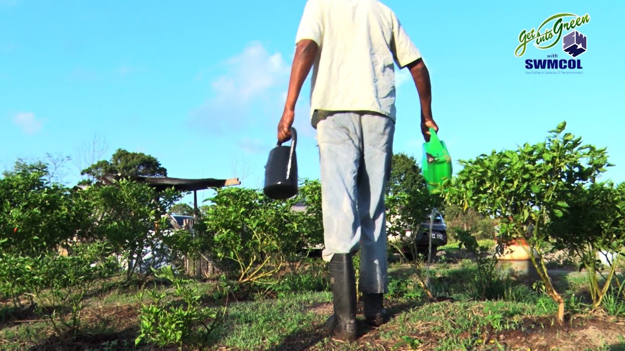 Keeping It Green Dry Season Farming YouTube keeping-it-green-dry-season-farming-youtube