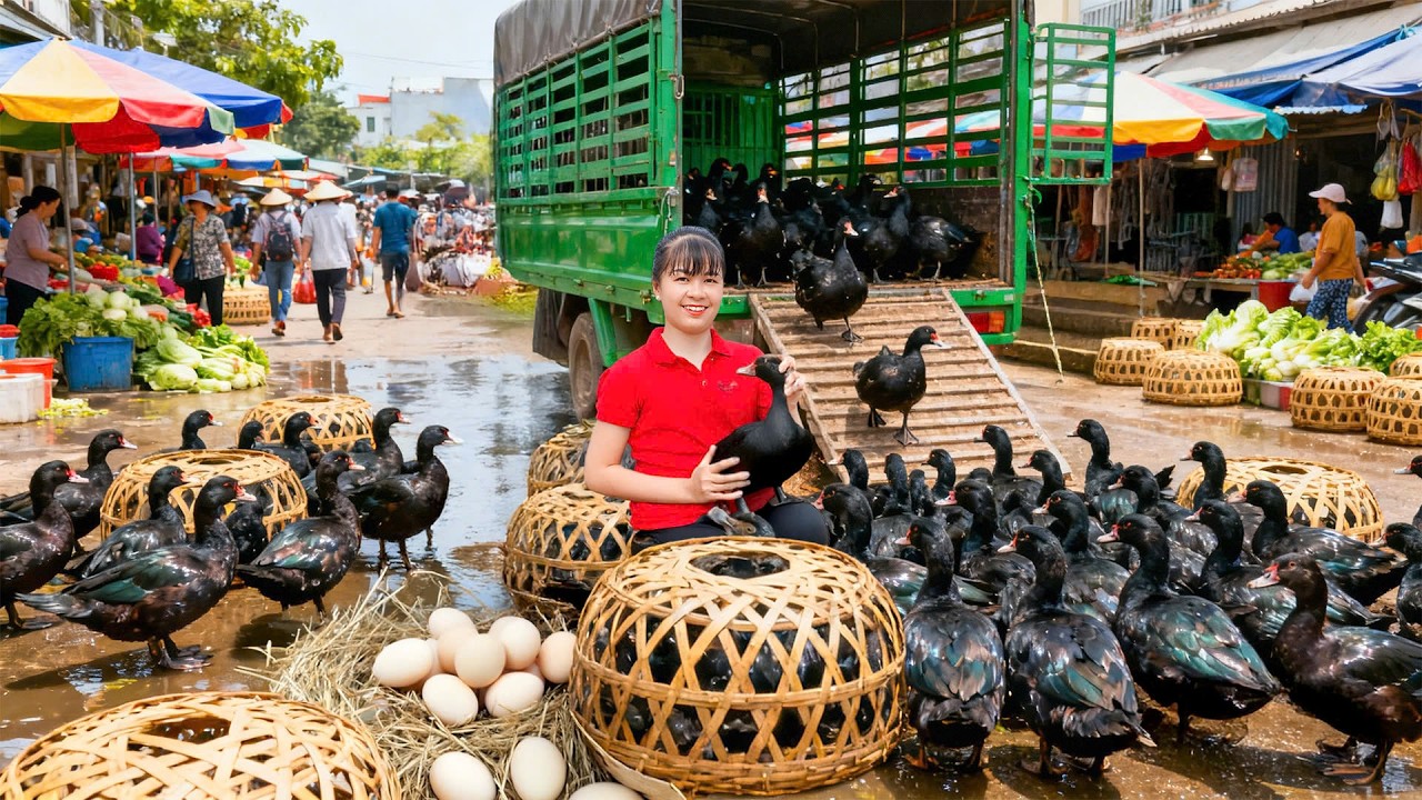 TIMELAPSE -- Harvest 100Kg Giant Forest Goose & Rare Goose Egg, Cook Spicy Soup | New Peaceful Life