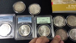 Morgan and Panda Basics: Study before you Buy.