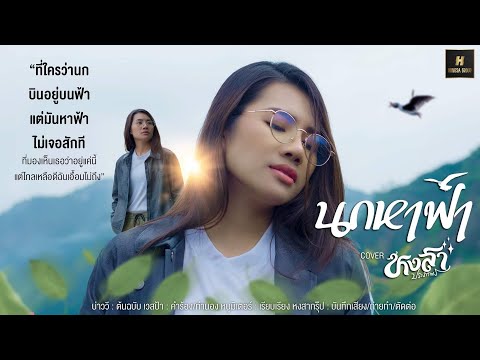 นกหาฟ้า - นก หงสา ประภาพร [Cover Version]