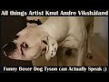 Funny Boxer Dog Tyson can Actually Speak - Artist and Painter Knut Andre Vikshåland