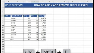 How to Apply and Remove Filter In Excel Shortcut Keys | Dojki Creation