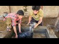 Primitive Mountain Life – How Nomads Wash, Disinfect &amp; Care for Their Goats | Traditional Cooking