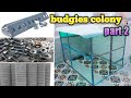 #budgiescolony Budgies new colony idea for beginner || how to make budgies colony. part 2