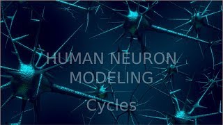 Blender-how to modeling human neuron and visualization