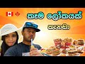 කෑම ලෝකයක් | කැනඩා | Taste of Edmonton