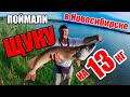 Ловля щуки г.Новосибирск! Поймали трофейную щуку, 13 кг!!!