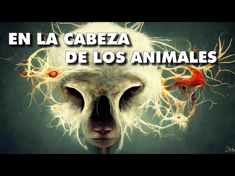 ¿En qué piensan realmente los animales?