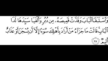 جزء من سورة يوسف بصوت القارئ مروان المحوري