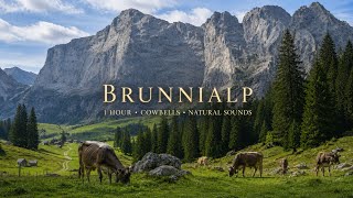 Details Swiss Alps Cowbells Ambience 🇨🇭 | Brunnialp Natural Sounds • No Music Update