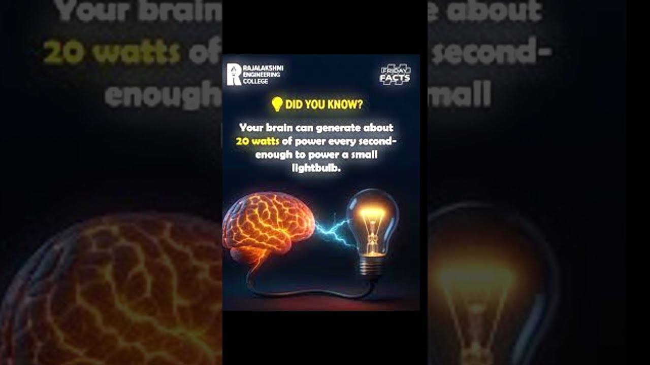 10 Crazy Facts About The Human Brain Shorts Neuroscience Science Motivation