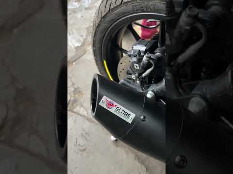 Dolphin Premium Silencer