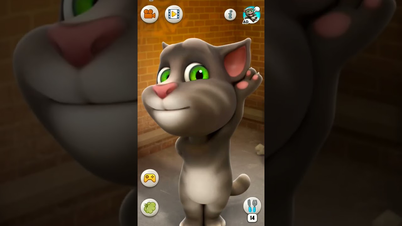 my talking tom say 35 