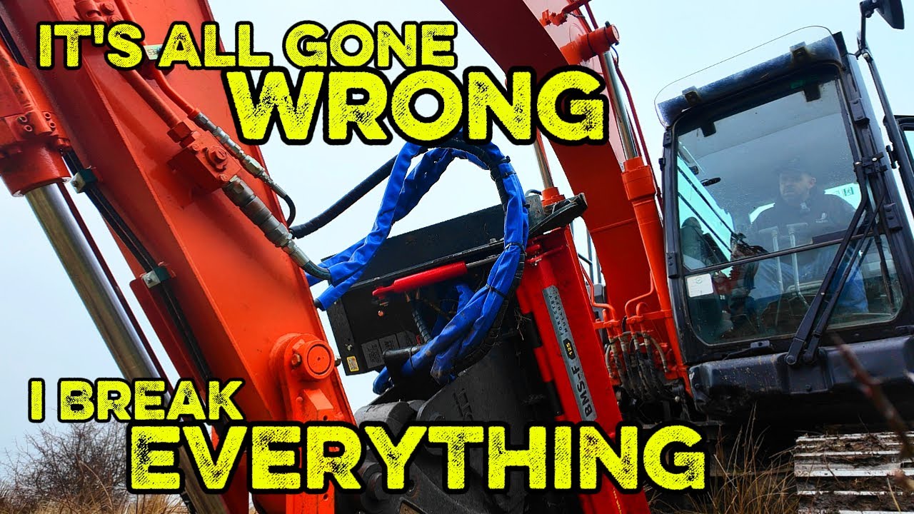 Управление живыми изгородями и восстановление утраченных земель. Основы улучшения сельскохозяйств...