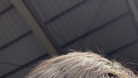 Nhiều điều thú vị về cửa cổng hàng rào ban công nhôm đúc mà quý vị chưa biết liên hệ 0912419723