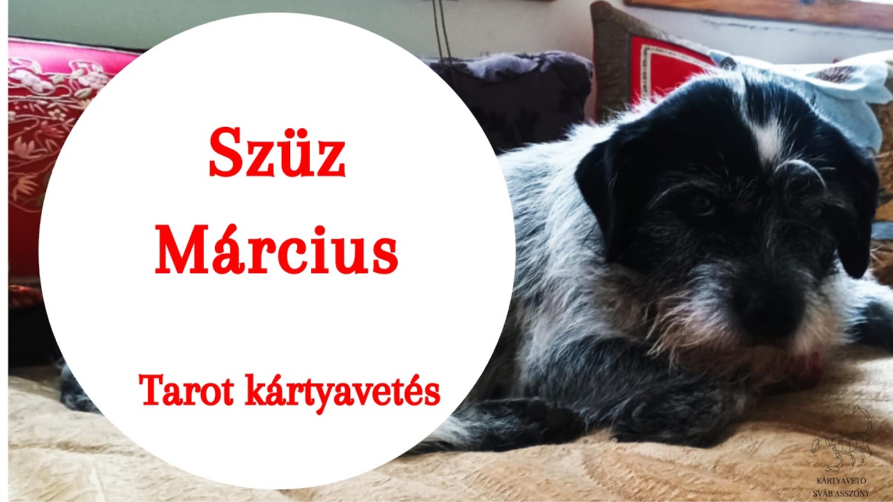 ”  A Gondviselés terelget 