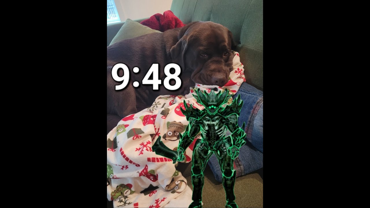 Duo 390 Crota's End in 