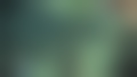 The Flaming Nun - Saints Row 2 Multiplayer Madness - Part 10