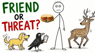 What Do Animals Actually Think of Humans