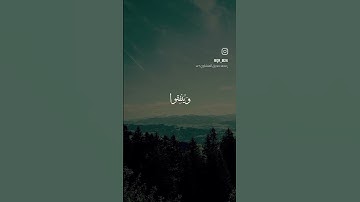 سورة أبراهيم بصوت الشيخ محمد صديق المنشاوي #القرآن_الكريم #المنشاوي #المصحف #اكسبلور
